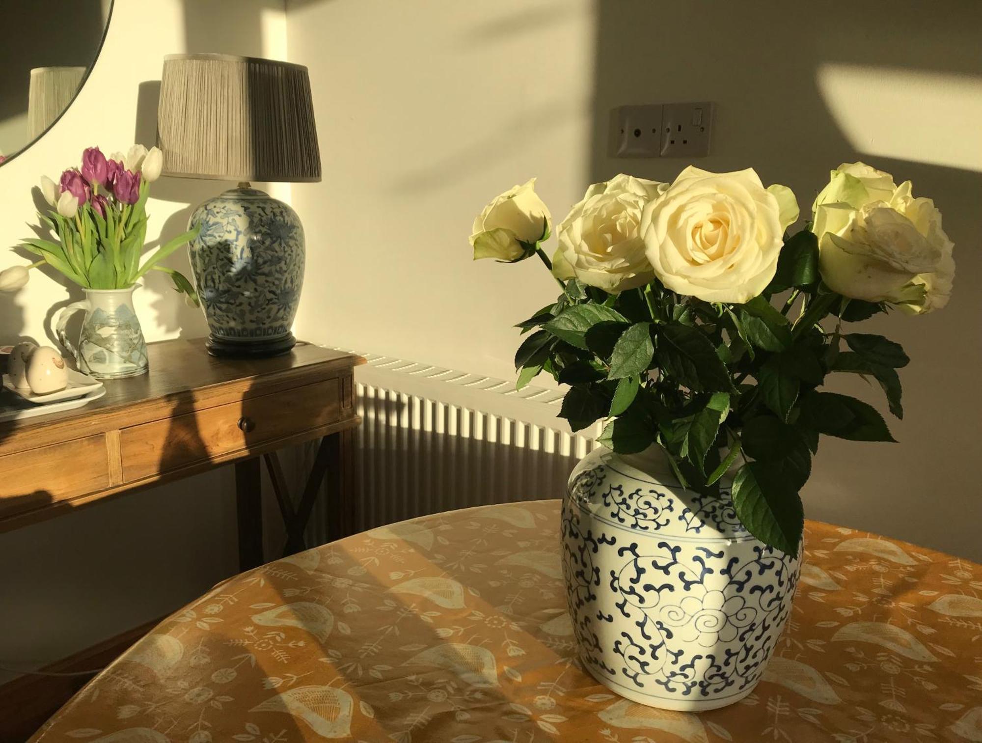 City Central Quiet Garden Apartment With Free Parking Inverness Exterior foto